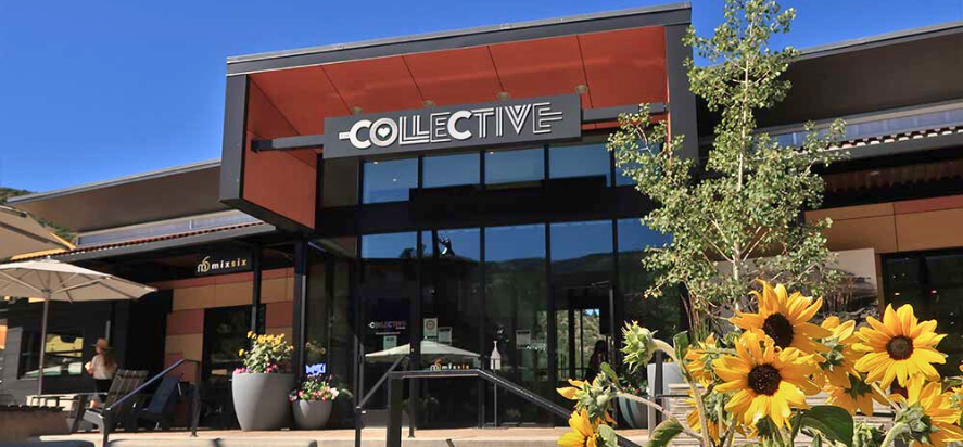 photo of the collective