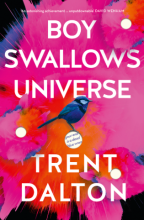 Cover of boy Swallows Universe
