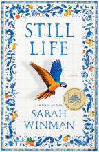 A Still Life by Sarah Winman