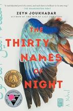 book cover for the thirty names of night by zeyn joukhadar